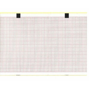 Papier ECG compatible Esaote Personnel 80 (10 liasses)